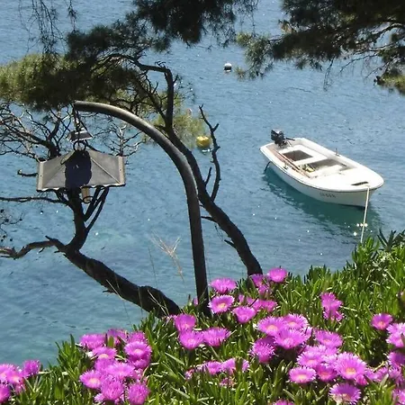 Apartment Apartment By The Sea